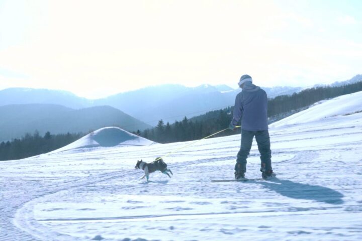 【トマム】愛犬と一緒にスキー・スノーボードを楽しめる 「わんわんゲレンデ」