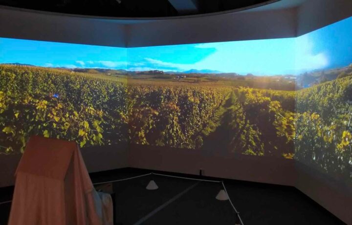 北海道ワインの魅力を空間型VRで再現。没入自然空間「uralaa park hokudai」オープンの画像