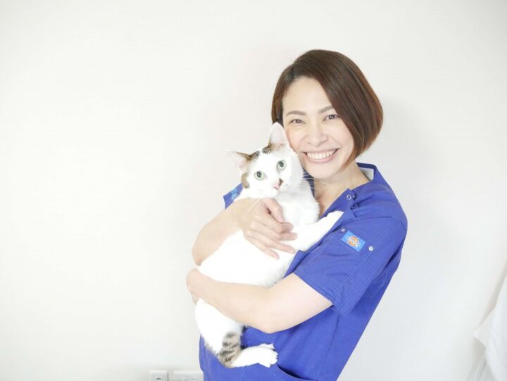 札幌初となる猫専門動物病院「札幌ねこの病院」がオープン！ねこさんと飼い主様に寄り添ったサービスを提供