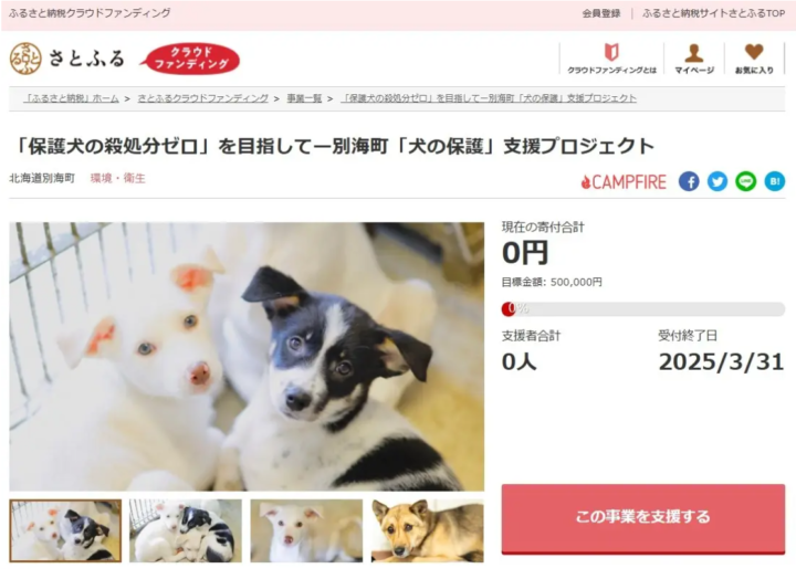 北海道別海町とさとふる、「保護犬の殺処分ゼロ」を目指し迷子犬の一時的な飼育環境を提供するため、寄付受け付けを開始の画像