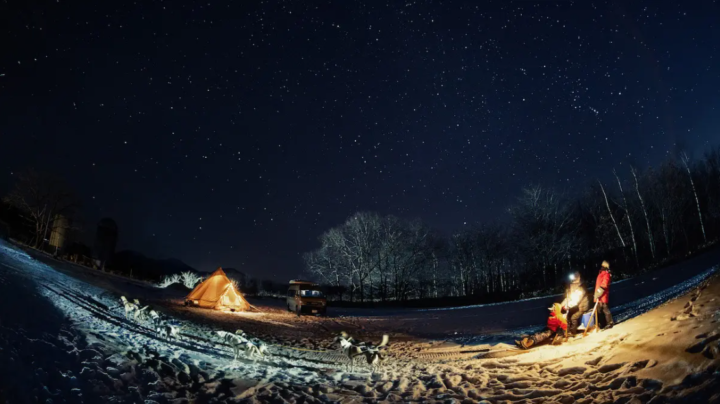 【期間限定プラン】夜空一面に広がる美しい星々や月あかりの下、十勝の雪原を犬達とともに走りまわる。「キャンピングカーで行く月と星の犬ぞりツアー」の開始