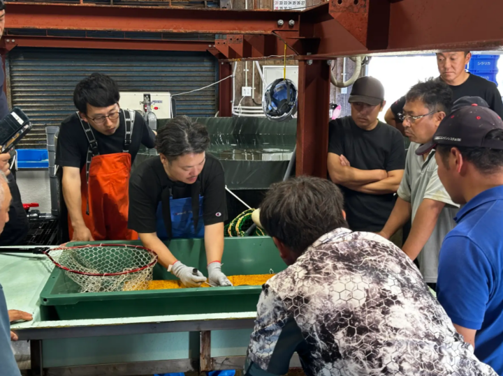 【北海道白糠町】天然ブリの品質向上に向け「船上活締め」講習を初開催！
