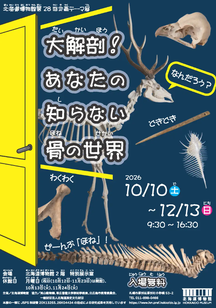 北海道博物館 第28回企画テーマ展「大解剖！あなたの知らない骨の世界」：2026年10月10日（土）～2026年12月13日（日）開催