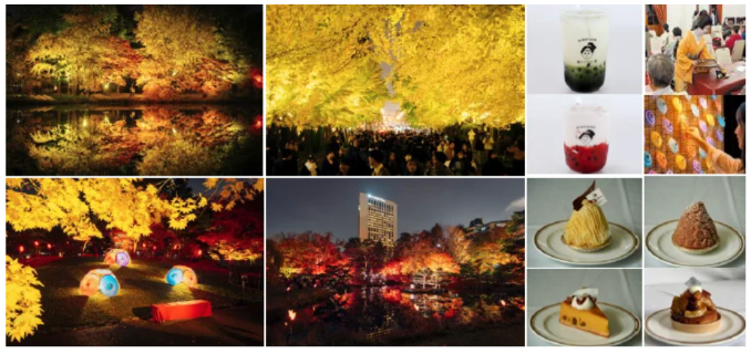 今年も、あの光の中へ中島公園紅葉ライトアップ～SAPPOROAUTUMN ILLUMINATIONS～開催に伴う報道並びに点灯式への取材依頼の画像